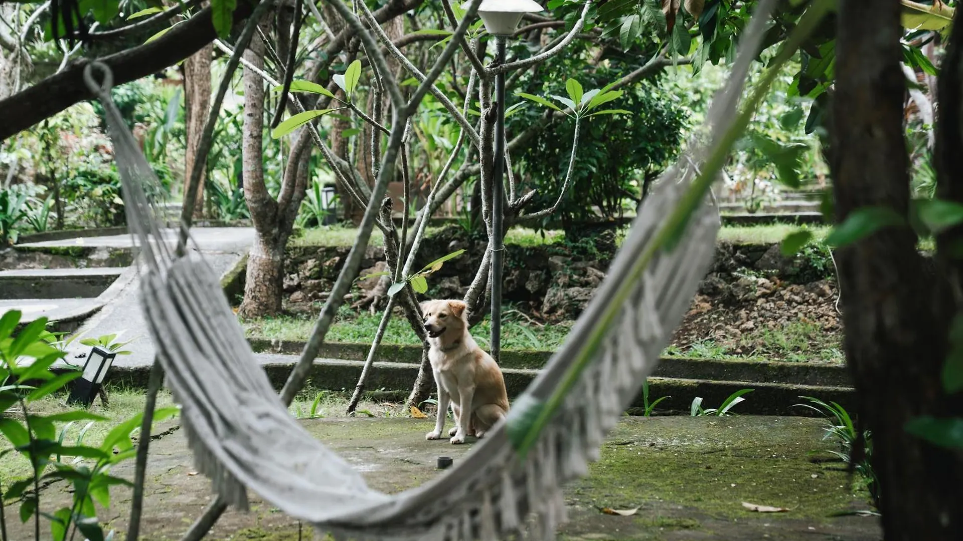 Olo Surf Nature Uluwatu  Guest house